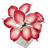 Angel Isabella Real Touch Calla Lily Artificial Flowers — Perfect for a Wedding, Prom, Christmas or Home Decor — Great as a Boutonniere, Corsage or Centerpiece - 10 Stems, Apple Red Trim