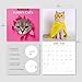 Funny Cats 2026 Square Wall Calendar