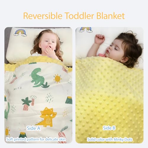Image of Toddler Comforter 47x59 Inch, Lightweight Down Alternative Quilted Blanket for Crib & Toddler Bed, Soft Cotton Minky Dots Baby Quilt, Machine Washable Year-Round Bedding