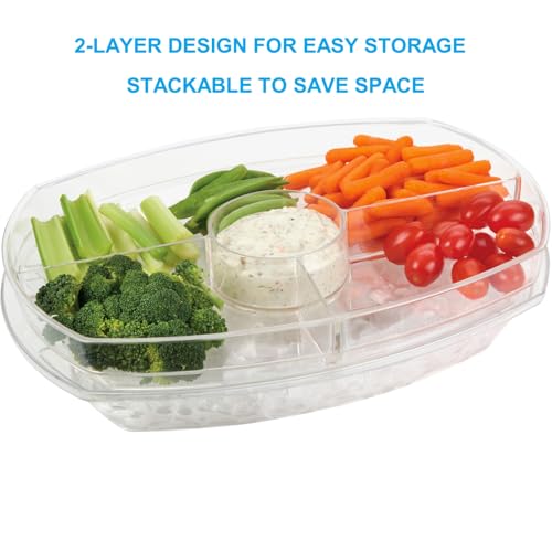 DEAYOU 4 Section Ice Serving Tray, Cold Serving Tray with Flip-Lid for Party Food, Outdoor Serving Platter Dish with Ice Cooling Tray for Appetizers, Fruits, Vegetables, Salads, Picnic, Snack