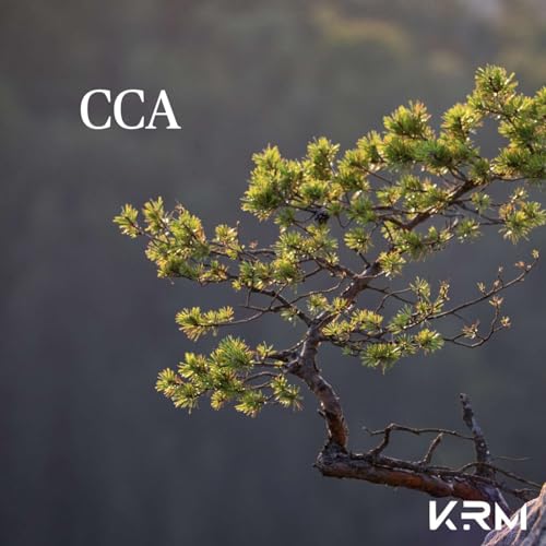 Couverture de CCA La Paz