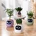 Imagen de PLANTSIO Smart Pet Planter Robot guía sobre el cuidado de las plantas con emojis