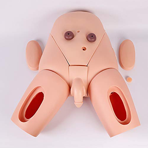 WLKQ Catheterization Model - Manikin Teaching Model - Human Anatomical Model - Male and Female Urethral Catheterization Simulator Kit Teaching Model for Medical Students Or Nurses