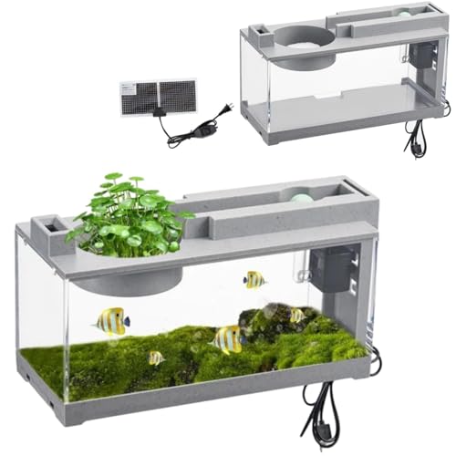 Acquario per acquario, kit di base per pesci, gamberetti, pesci rossi, con pompa ad aria e luce, piccolo acquario da tavolo, decorativo retrò silenzioso