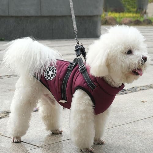 Voarge Hundejacke Winterweste Jacken, Hundemantel mit Geschirr für Kleine Hunde Hundemantel Wasserdicht Maschinen Waschbarer Reflektierender Streifen Design Haltbarer D-Ring (Lila, M)