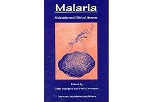 Malaria: Seeing the Big and Small Pictures