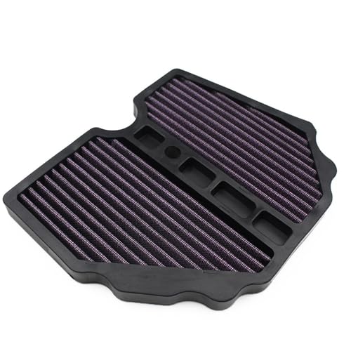 Filtre à air pour moto Benelli TRK502X avec structure durable BJ500GS-A Purple