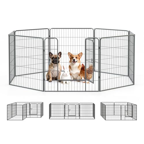 Qianruida Recinti Cani Parco Recinto per Cani Da Interno Ed Esterno Recinzione per Animali Domestici Con 8 Pannelli Di Metallo, Box per Cani, Gatti E Conigli, 80 X 80 cm