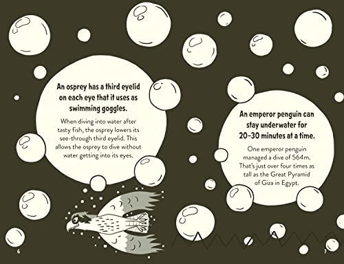 Amazing Facts Every 10 Year Old Needs to Know: A brilliant new illustrated children’s book of bitesi
