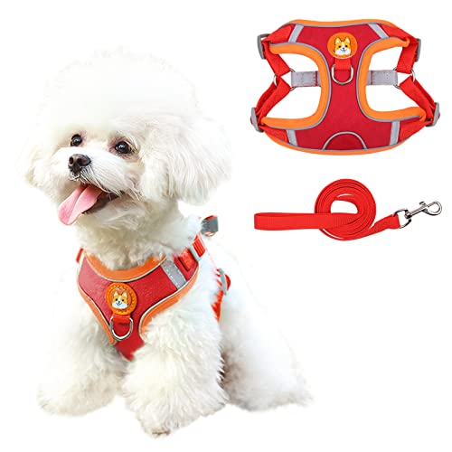 Patas Lague No Pull Dog Harness With Leash Set, Adjustable Reflective Dog Vest Harness For Medium Dogs, Step-In Pet Harness With Soft Padded Vest (Red) #TOP19