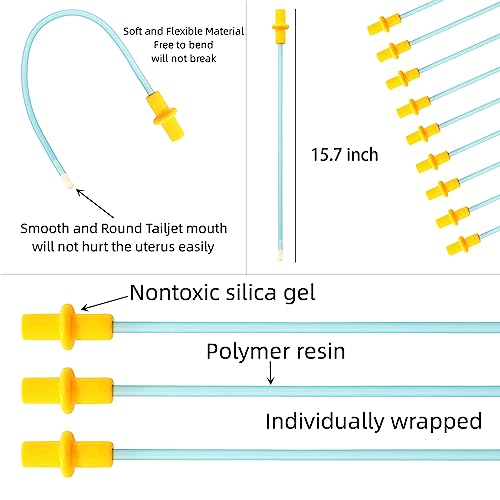 View 4