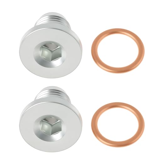 Briny River 2 Pezzi M16x1,5mm Tappo Di Scarico Dell'olio Con Anello Di Tenuta 2120484 2120478 Compatibile Con Ford Fiesta Focus