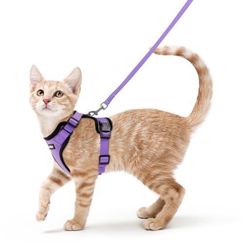 Image of rabbitgoo Cat Harness and Leash Set, Escape Proof Vest, Light Purple | Soft Breathable Mesh, Easy Adjustable Fit, Snap Buckles, Sturdy Clip, Reflective Strips, for Small & Average Cats Walks, Xs