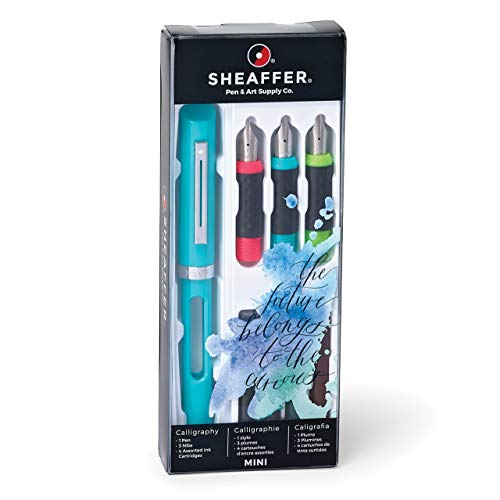 Sheaffer Viewpoint Calligraphy Mini Kit: 1 Fountain Pen with 3 Nibs and 4 Assorted Ink Cartridges