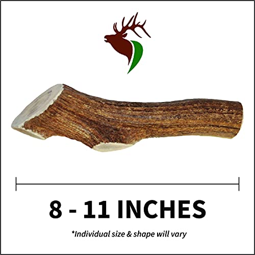 Elkhorn Premium Chews - Giant Whole Single Pack (For 75+ Lb Dogs) Premium Grade Elk Antler Dog Bone (1 Piece) Sourced In The Usa #TOP2