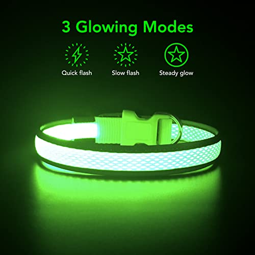Bpawser Collari per cani luminosi Collare per cani...