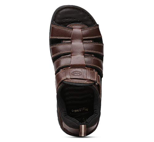 Image of Scholl Men's Fisherman Sandal(Steven Fm Sandal)