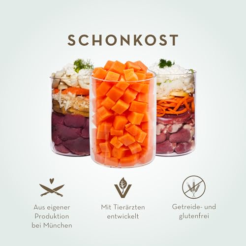 Terra Canis Morosche Karottensuppe Hund-Schonkost 6x400 g – ideal bei Magen-Darm-Beschwerden und Verdauungsstörungen, für eine gesunde Darmflora, mit Rohstoffen in 100% Lebensmittelqualität