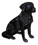 labrador nero cucciolo 4 mesi Vivid Arts Real Life Dogs - Cani da uomo, misura