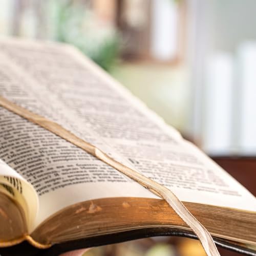Bible: Mettre la Parole de Dieu entre toutes les mains gratuitement