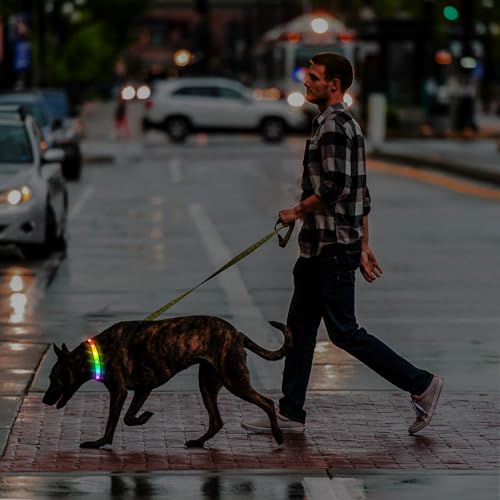 TRIPOLACO Leuchthalsband Hund Aufladbar, Hundehalsband Leuchtend wasserdichte, Mehrfarbig Einstellbare Leuchthalsband für Kleine Mittlere Große Hunde, Schwarz - L