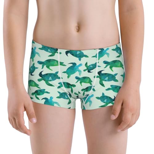 Boys' Cotton Boxer Brief Soft Underwear-Green Sea Turtle