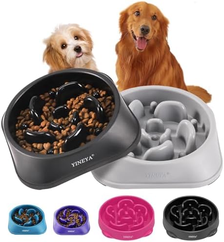 YINEYA 2 Stück Antischlingnapf Hunde, 2 Cups Schlingnapf Hunde, Hundenapf | 500ml/Stück, Futternapf Wassernapf Fressnapf Hund für Kleine & Mittelgroße Hunde, Slow Feed Hund (Mittle