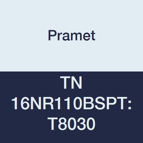 TN 16NR110BSPT:T8030 Carbide Indexable Internal Threading Insert, Multi-Material (P30,M25,K30), BSPT Full Profile, TPI 11, 3 Cutting Edges, PVD, Use SER/L Toolholder, Gold (Pack of 5)