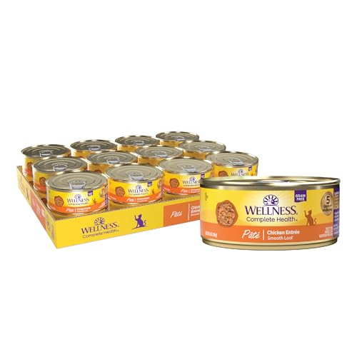Wellness Grain Free Chicken Entree Pate Wet Kitten Food