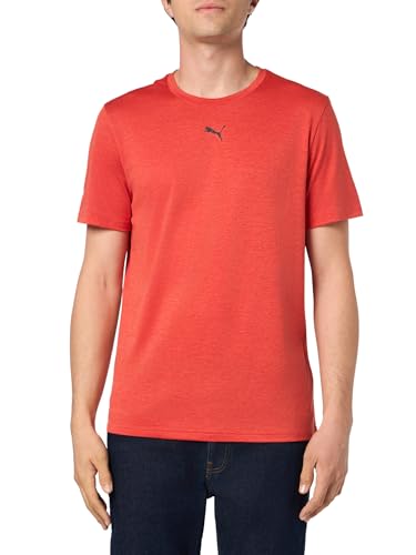 Puma Men's Train All Day Essentials T-Shirt, Red Fire Heather, Large