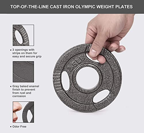 Lionscool 2-Inch Olympic Grip Plate In Pairs Or Single For Strength Training, Weightlifting And Bodybuilding, Solid Cast Iron Weight Plates For Barbell, 2.5-45Lbs, Two Year Warranty (2.5Lb Set Of 4) #TOP3
