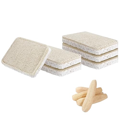 Loofah Sponges Washing Up | 6 Pack | Compostable Sponge | 100% Natural Biodegradable Kitchen Sponge | Sustainable & Plastic-Free