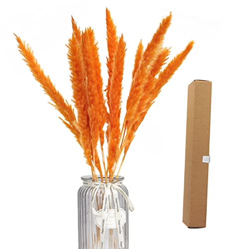 45 unidades de grama de pampa seca, grama de pampa seca natural, buquê de grama de junco para casame