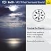 Crossing the Channel: Music