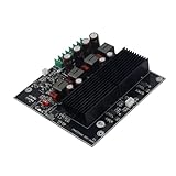 Tmboryuu Fortschrittlicher Doppelkanal Leistungsverstärker, 600 W x 2, automatische Standby Funktion, leistungsstarke Filtersysteme, automatischer Standby Verstärker