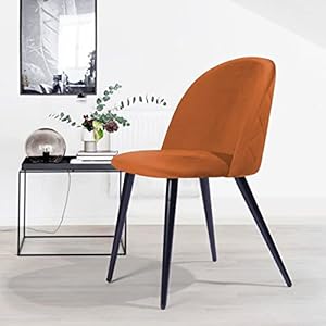 Finch Fox Romantic Vintage Dining Chairs Rustic Orange Velvet Cushion Seat Chair with Black Powdered Coated Metal Legs