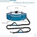 Tressify Anti-Shock Hands Free Dog Leash with Bungee, Multifunctional Waist Bag, Reflective, Adjustable for Jogging, Walking, Hiking, in Blue
