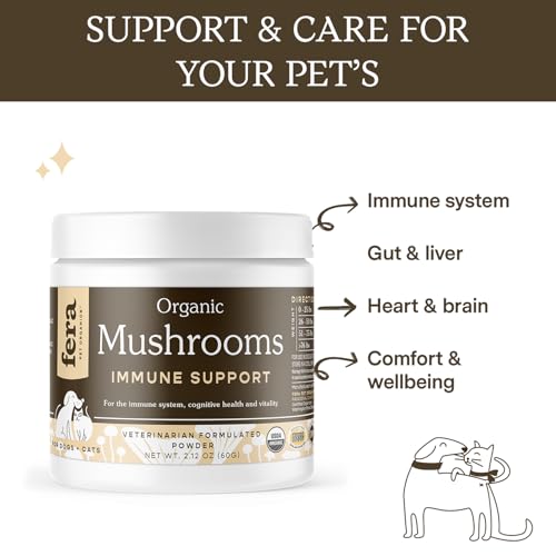 Fera Pets Turkey Tail Mushroom Supplement for Dogs & Cats - Vet Created - for Cognition & Immune System – Organic Lion’s Mane, Shiitake Mushrooms - 120 Scoops - Image 3