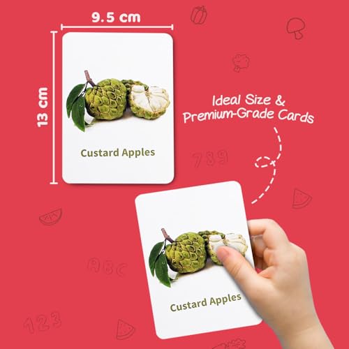 Image of Intelliskills Premium 5-in-1 Brain Boosting Flash Cards for Kids, Flash Card for 1+ Year Old Baby, Montessori Educational Toys for Girls /Boys, Fun Learning Activities, Birthday Gift (136 Flash Cards)