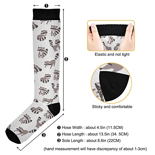 Wusikd Cartoon Raccoon Compression Socks for Women and Men Circulation Funny Long Socks for Athletic Running 13