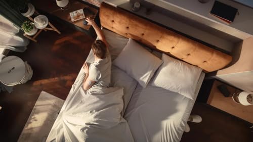 iLuv SmartShaker 3, Wireless Bed Shaker for Hearing Impaired & Heavy Sleepers, 20 Alarms, Call & App Alerts, Bluetooth, Rechargable Battery, Auto DST, iOS & Android Compatible