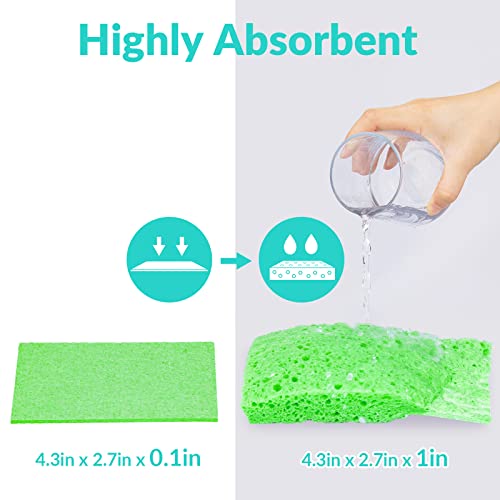 Pop-Up Sponges 6 Pack, Reidea 100% Biodegradable Scrub For Furniture (Leather Sofa), Kitchen (Dish, Counter) - Non Scratch Odor Free Plant Based Sponge - Eco-Friendly Wood Pulp (Multi Color) #TOP2