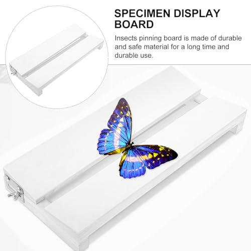 Image of Adjustable Butterfly Specimen Display Board 13.77 X 6.29 X 1.77 in Spreading Board for Entomology Insect Pinning Wing Spreading Tool for Science Education