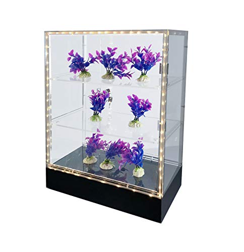 FixtureDisplays® Clear Cabinet Acrylic Display Removable Shelf Case Plexiglass Showcase with Lock and Key Transparent Box Model Display LED Light Remote Control 14604-LED