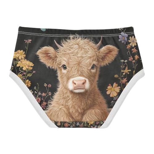 Highland Cow Toddler Girls's Underwear 2T 202c03042