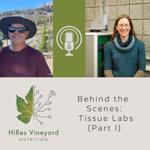 Behind the Scenes with Tissue Labs (Part 1)