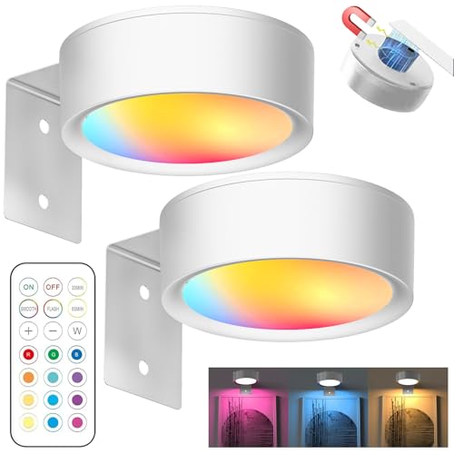 YOUYIKE 2 Piezas Aplique Luz Cuadros Sin Cable, LED Cuadro Mando a Distancia, 13 Modos de Iluminación, Regulable, Luz Magnética LED para Marco, Pared, Luces Artísticas Para (Blanco)