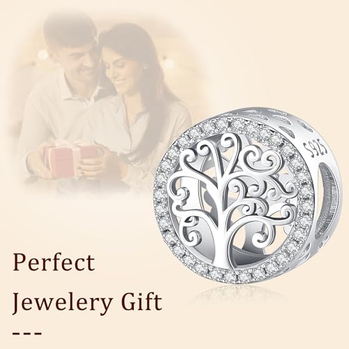 Charm de plata de ley 925 compatible con pulsera Pandora para mujer 6
