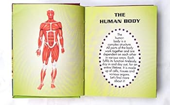 Paperback Junior Encyclopedia-Human Body Book