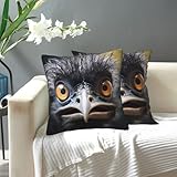 LHCVSFGW